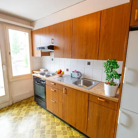 市中心假日公寓 因特拉肯